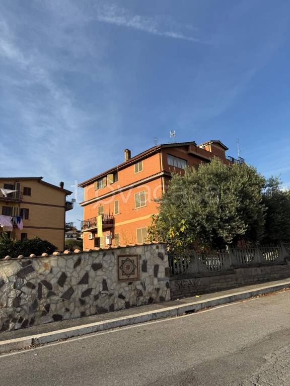 immagine annuncio 12 di 13