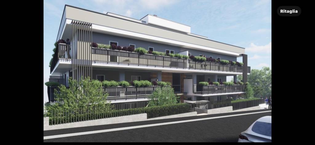 immagine annuncio 2 di 12