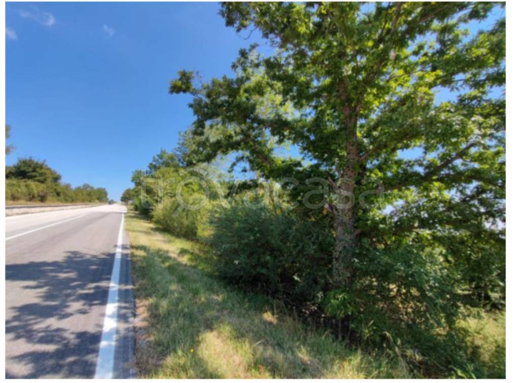 immagine annuncio 5 di 12