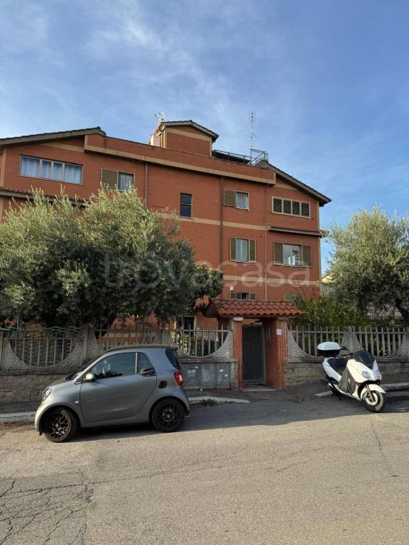 immagine annuncio 11 di 13