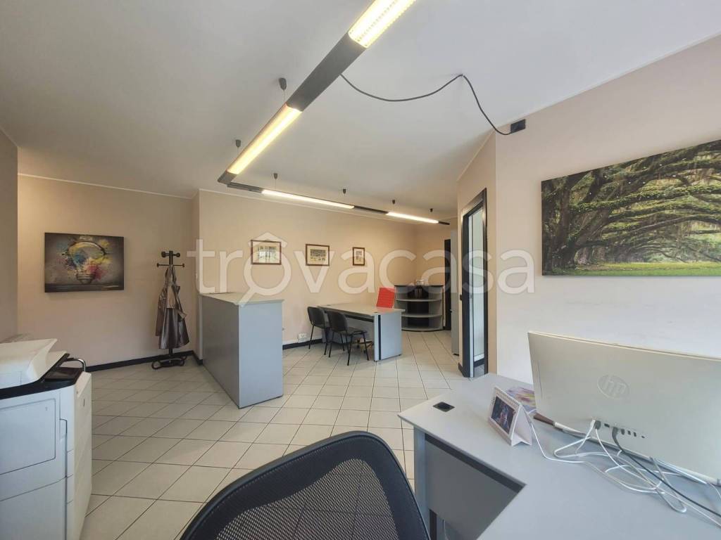 immagine annuncio 12 di 14