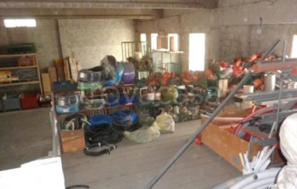 immagine annuncio 11 di 13