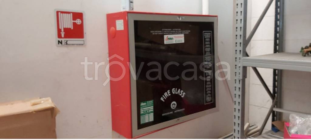 immagine annuncio 5 di 12