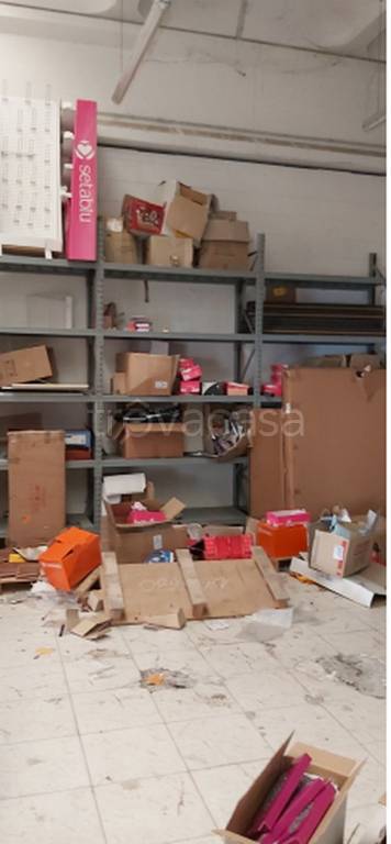 immagine annuncio 7 di 12