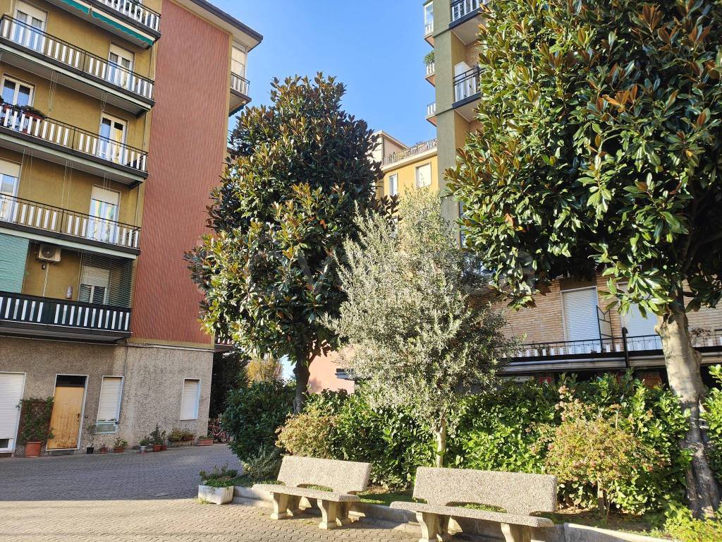 immagine annuncio 3 di 15