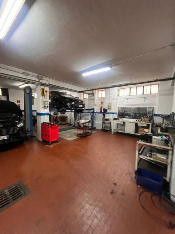 immagine annuncio 9 di 15