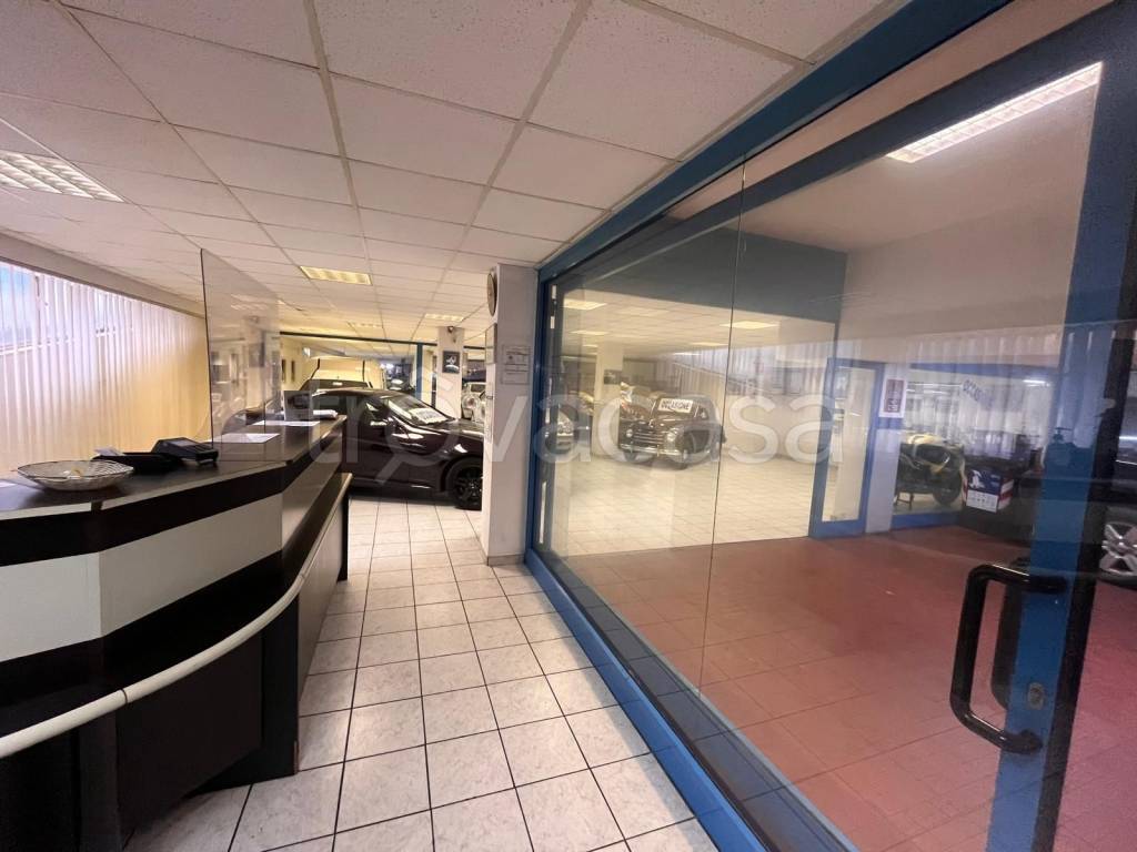 immagine annuncio 2 di 15