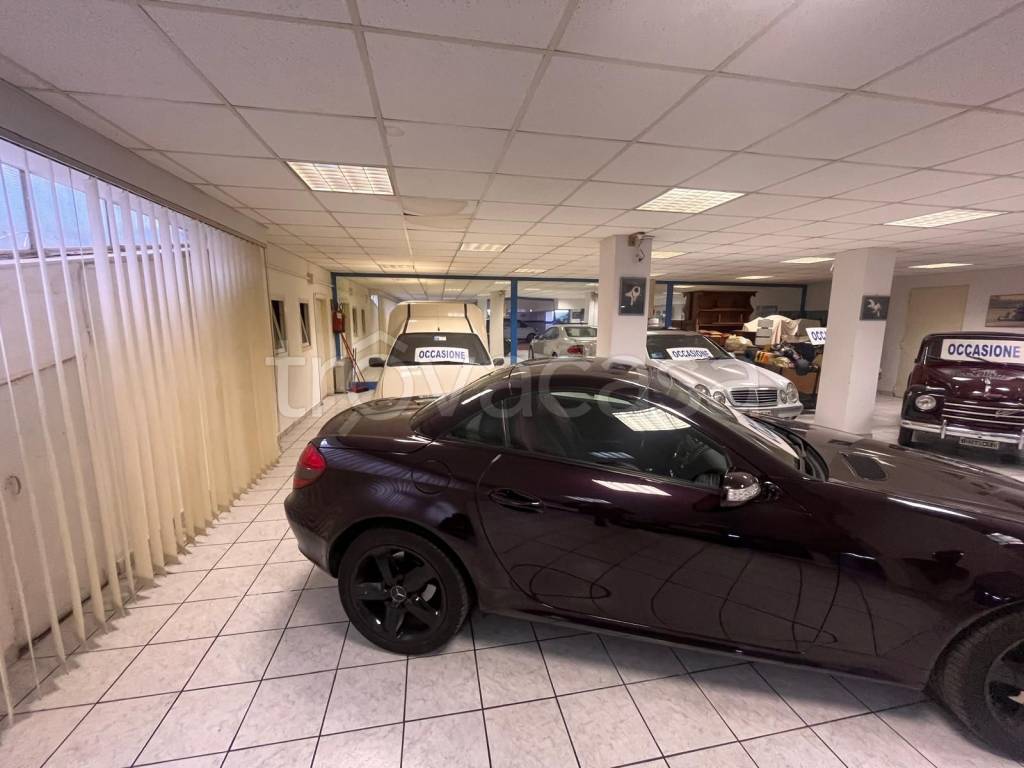 immagine annuncio 4 di 15