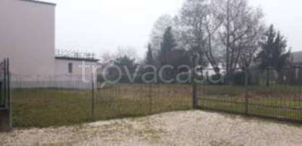 immagine annuncio 3 di 11