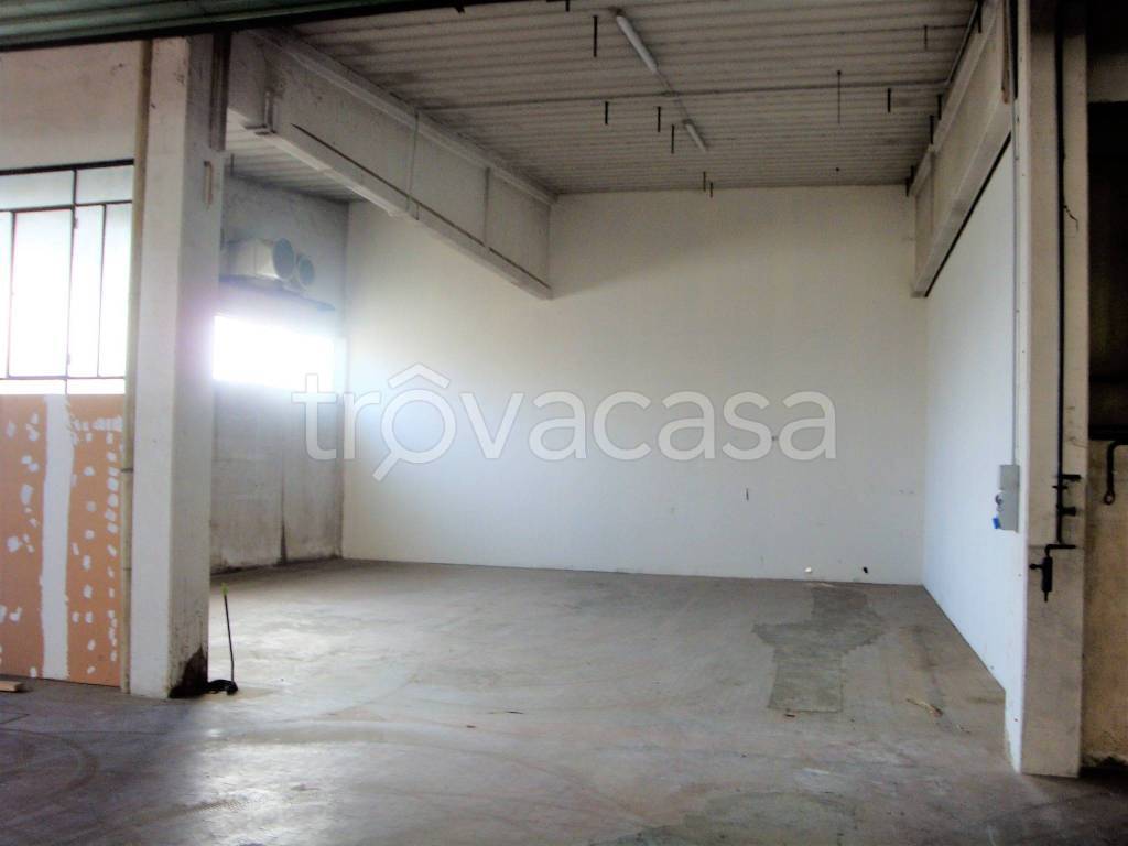 immagine annuncio 2 di 4