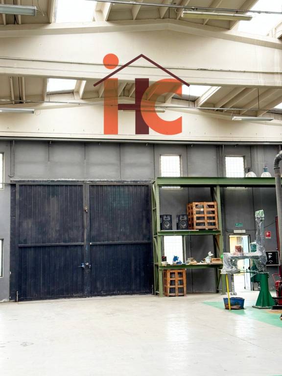 immagine annuncio 3 di 7