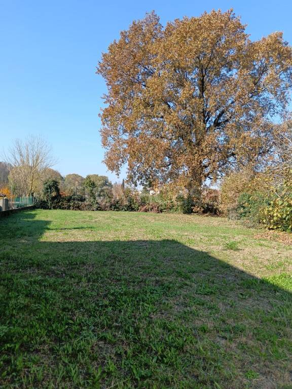 immagine annuncio 3 di 11