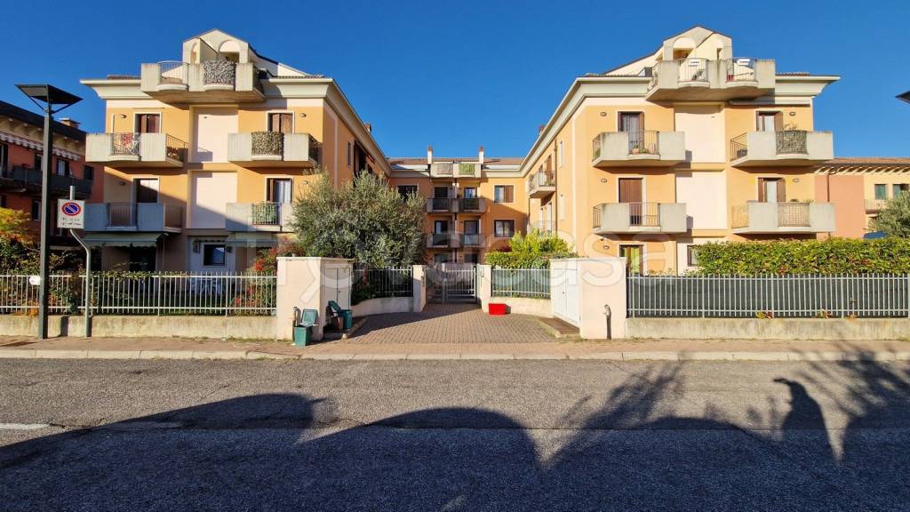 immagine annuncio 1 di 15