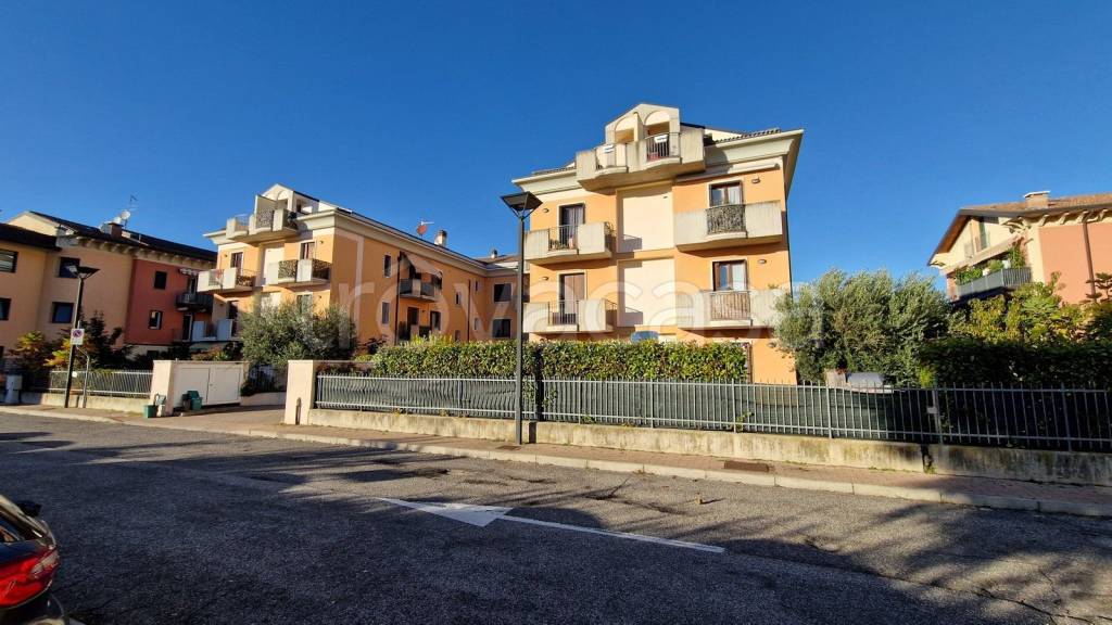 immagine annuncio 2 di 15