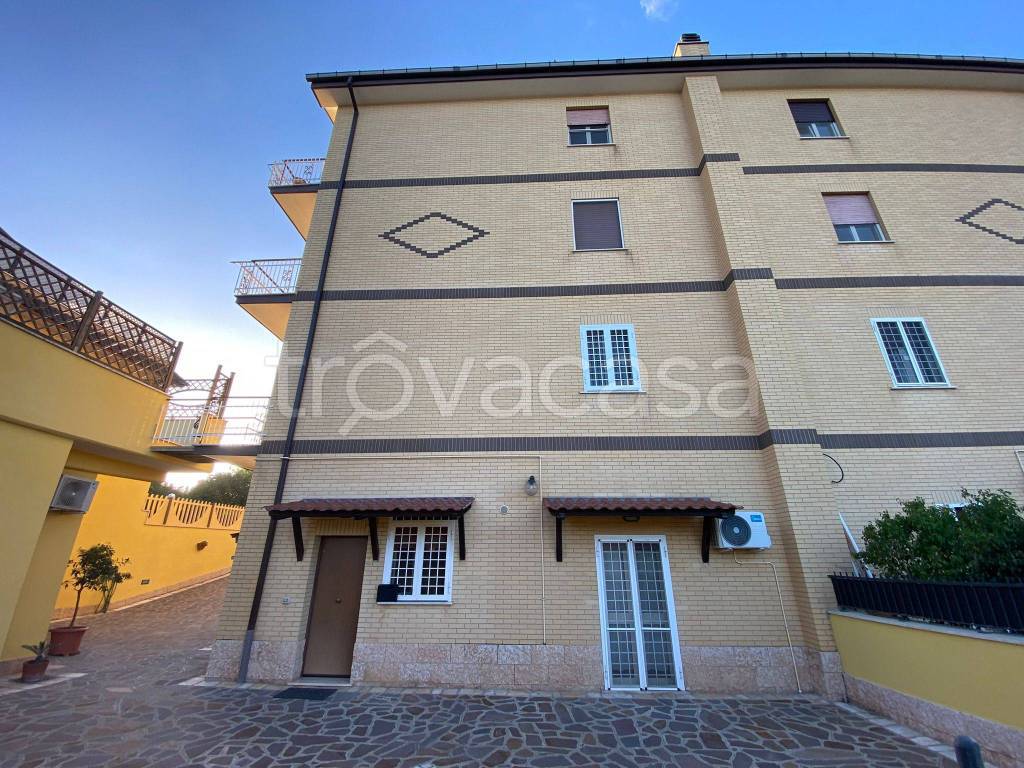 immagine annuncio 11 di 12