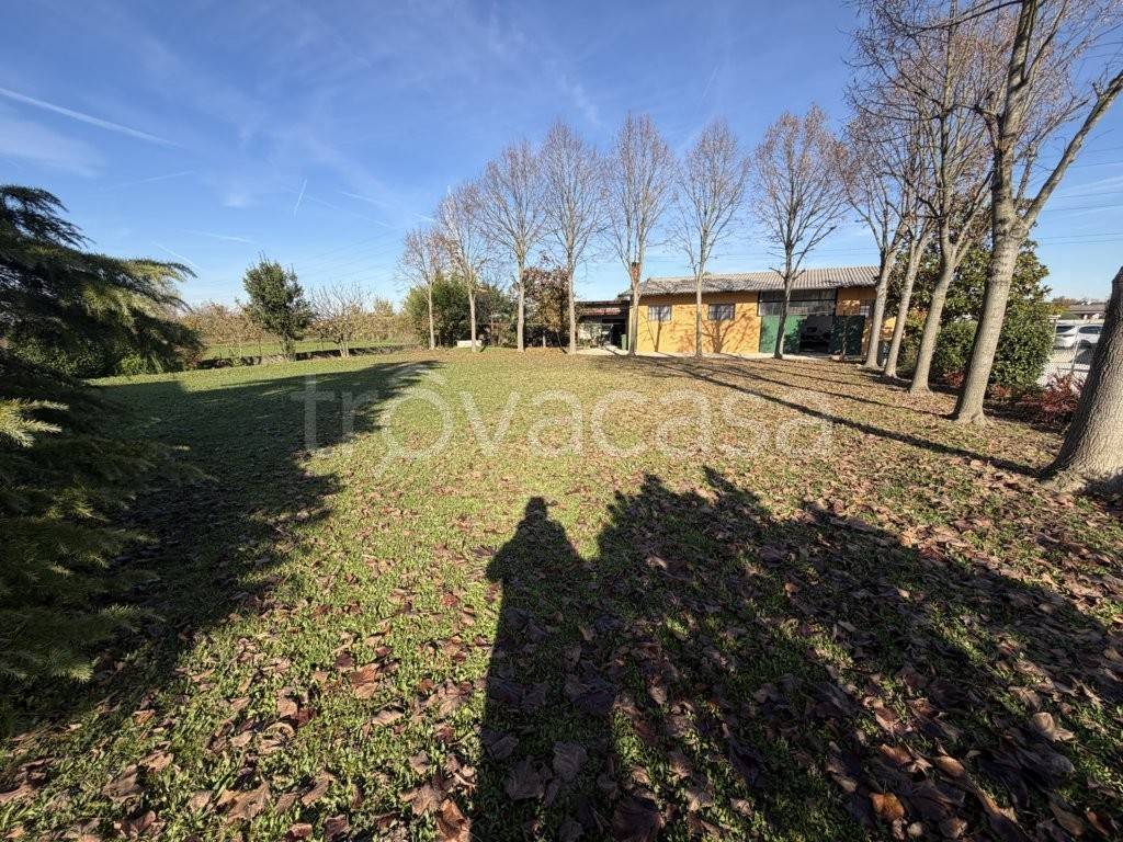 immagine annuncio 1 di 14