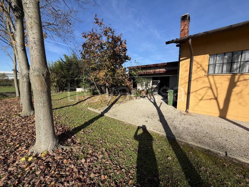 immagine annuncio 3 di 14