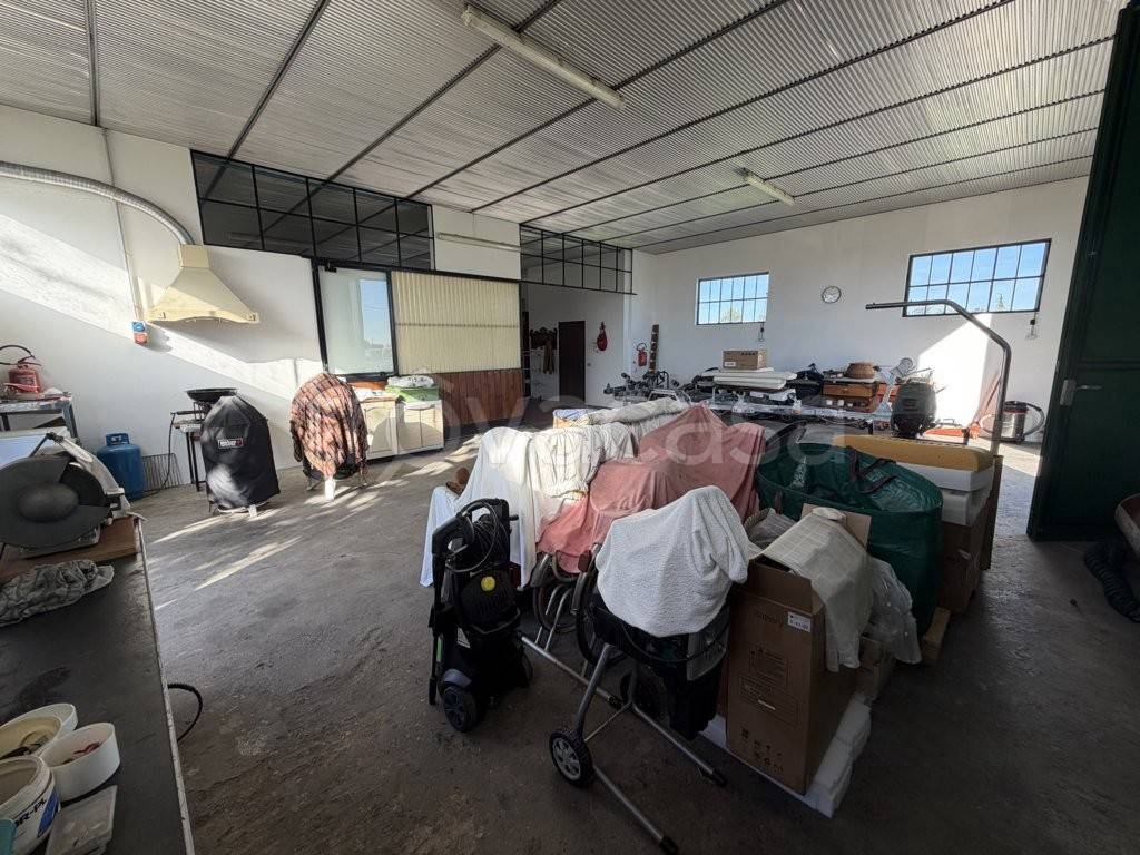 immagine annuncio 9 di 14