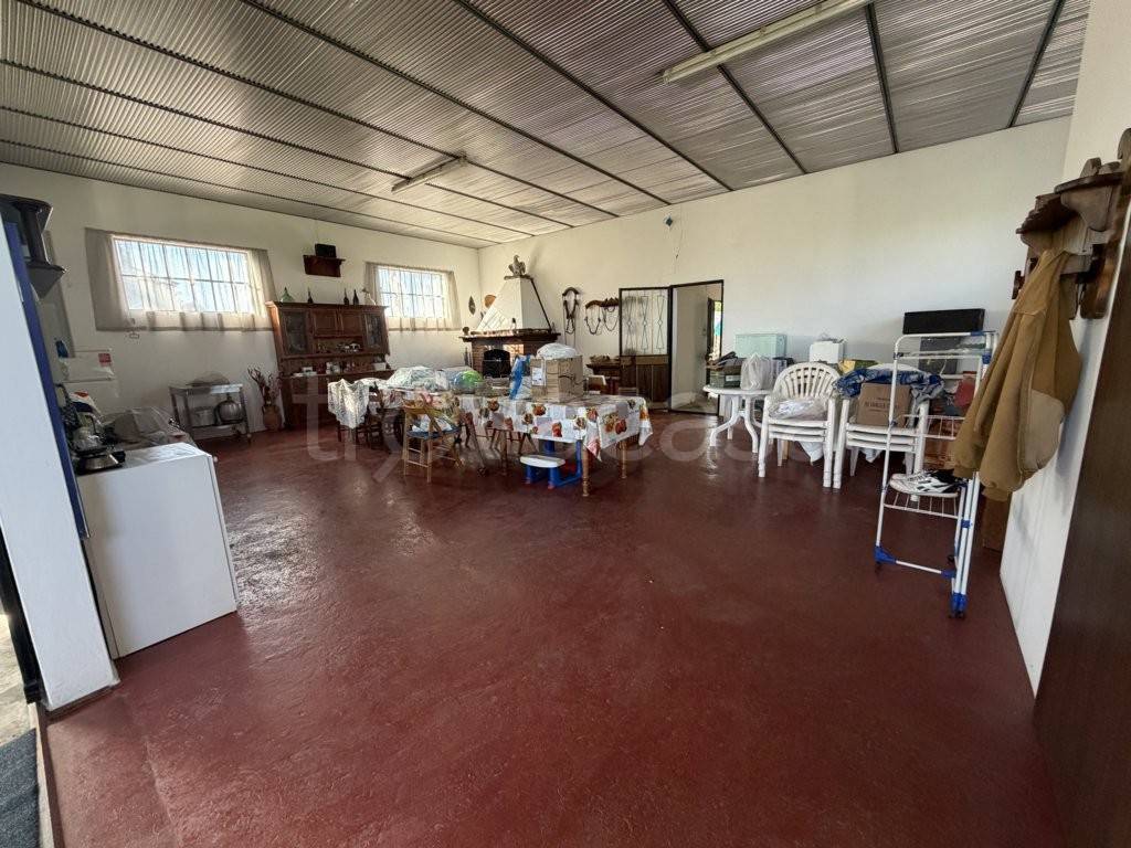 immagine annuncio 10 di 14