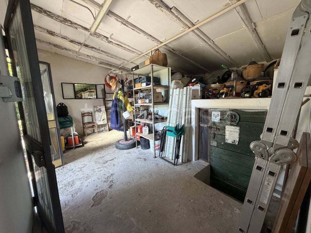 immagine annuncio 12 di 14