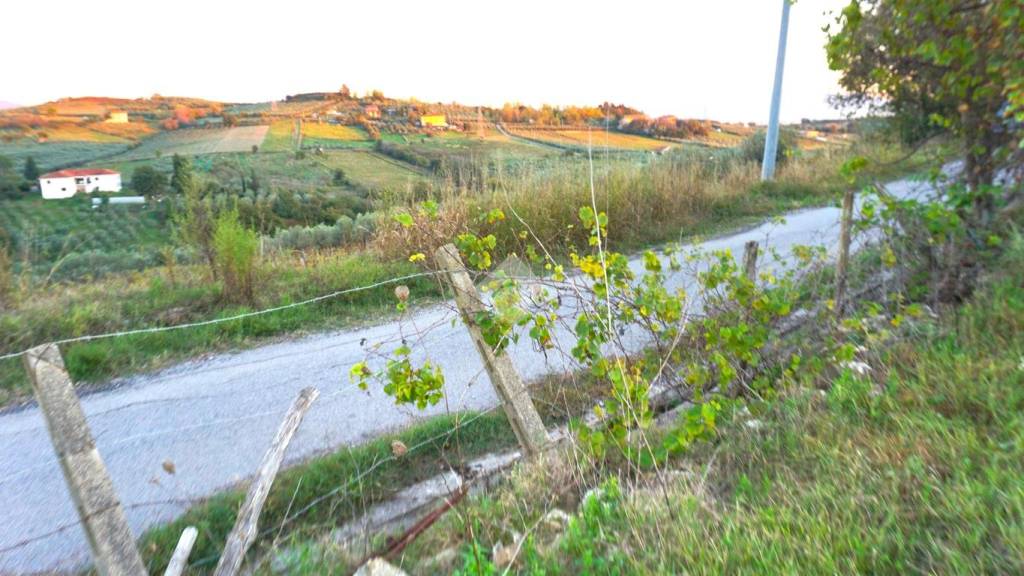 immagine annuncio 6 di 11