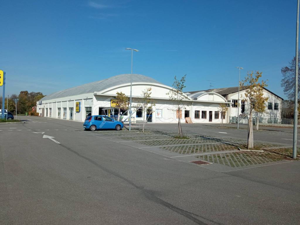 immagine annuncio 6 di 8