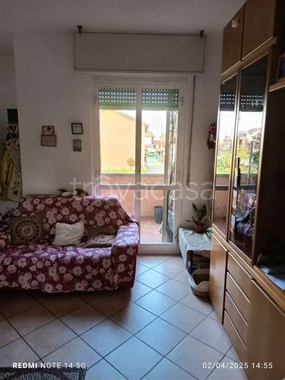 immagine annuncio 12 di 15