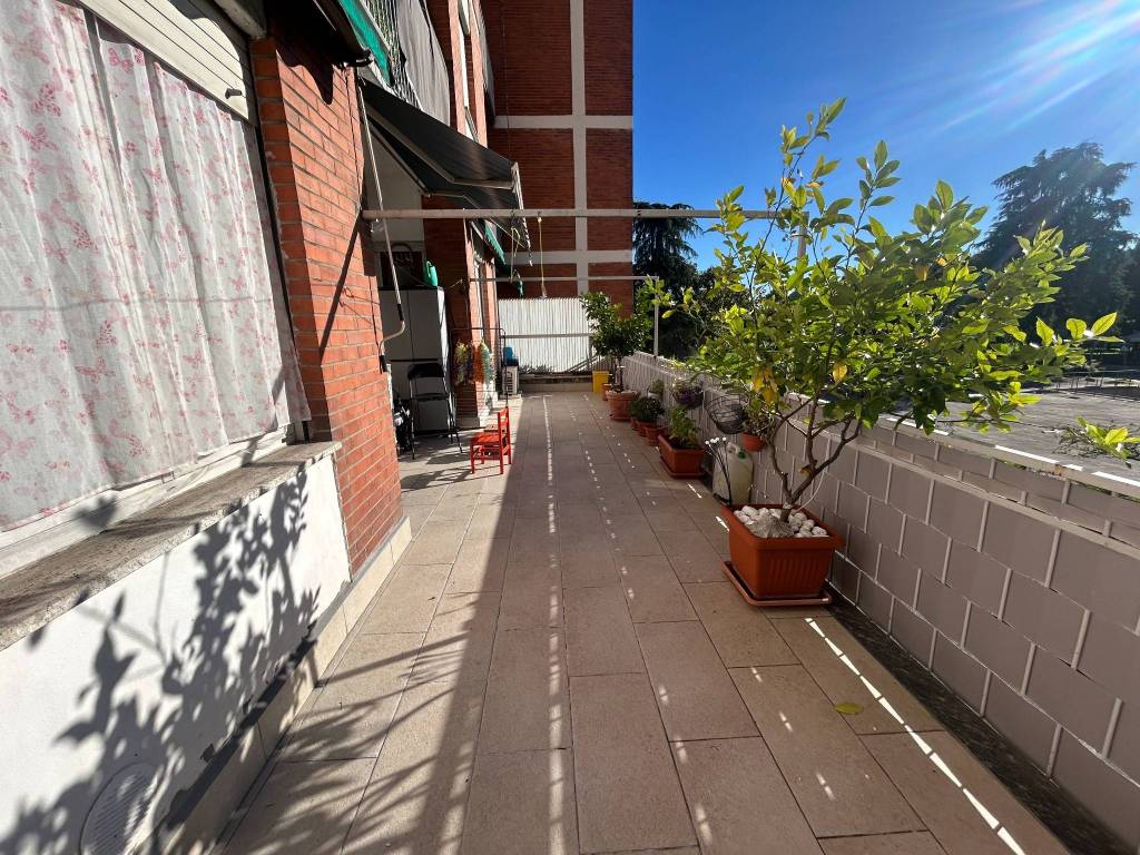 immagine annuncio 5 di 15