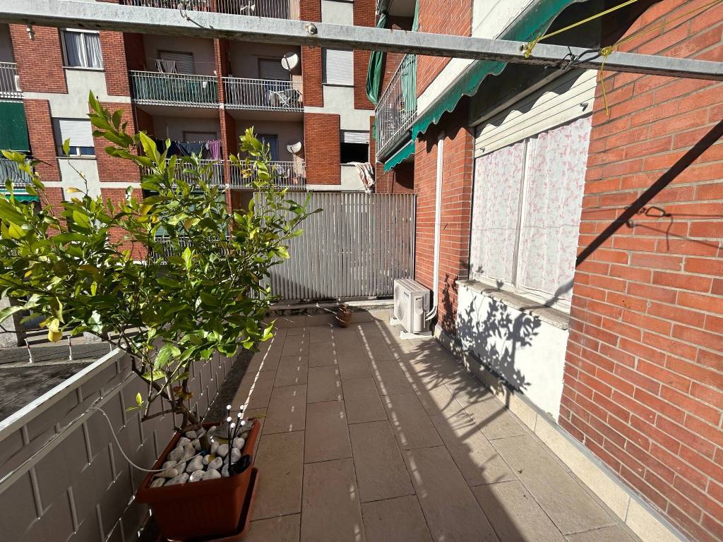 immagine annuncio 7 di 15