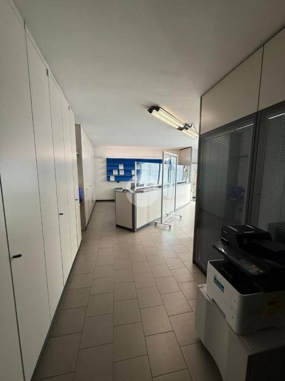 immagine annuncio 3 di 12