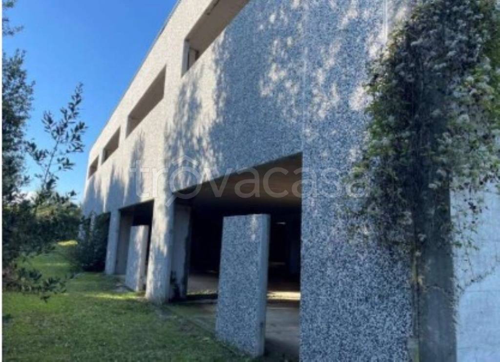 immagine annuncio 4 di 12