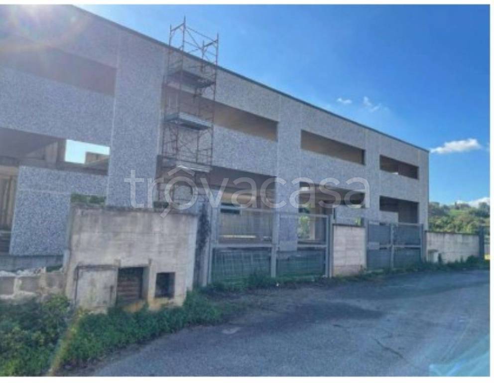 immagine annuncio 6 di 12