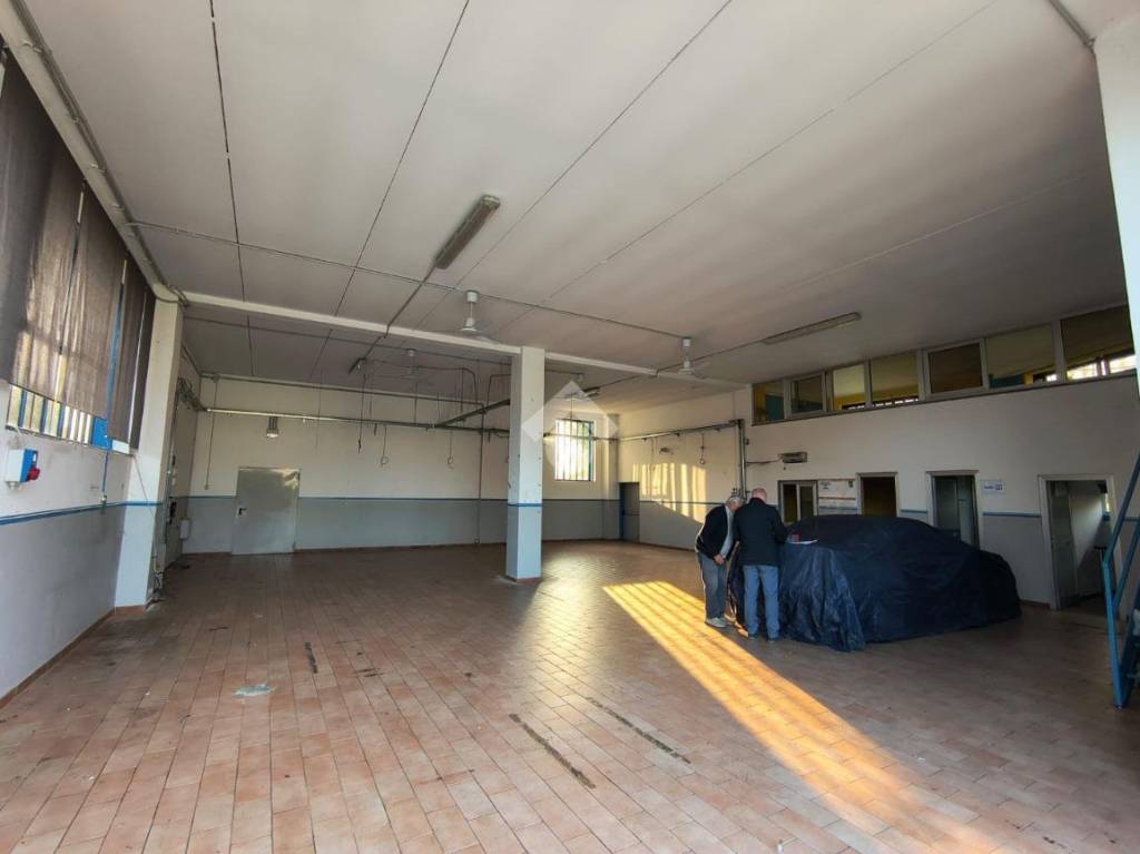 immagine annuncio 5 di 15