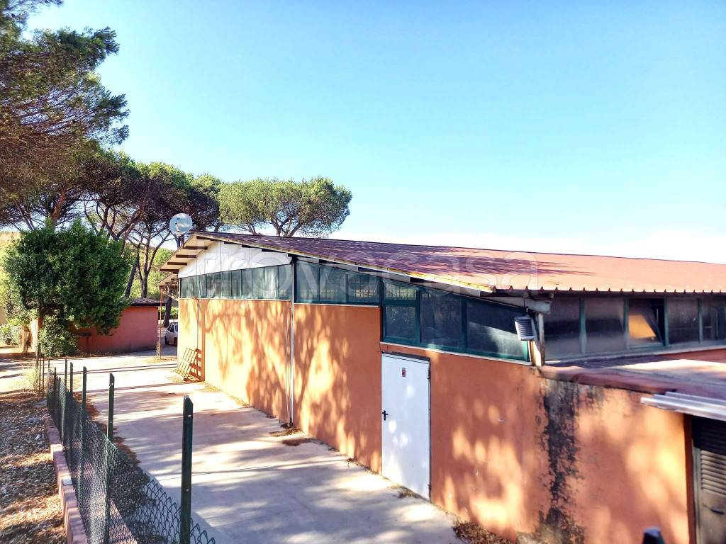 immagine annuncio 3 di 14