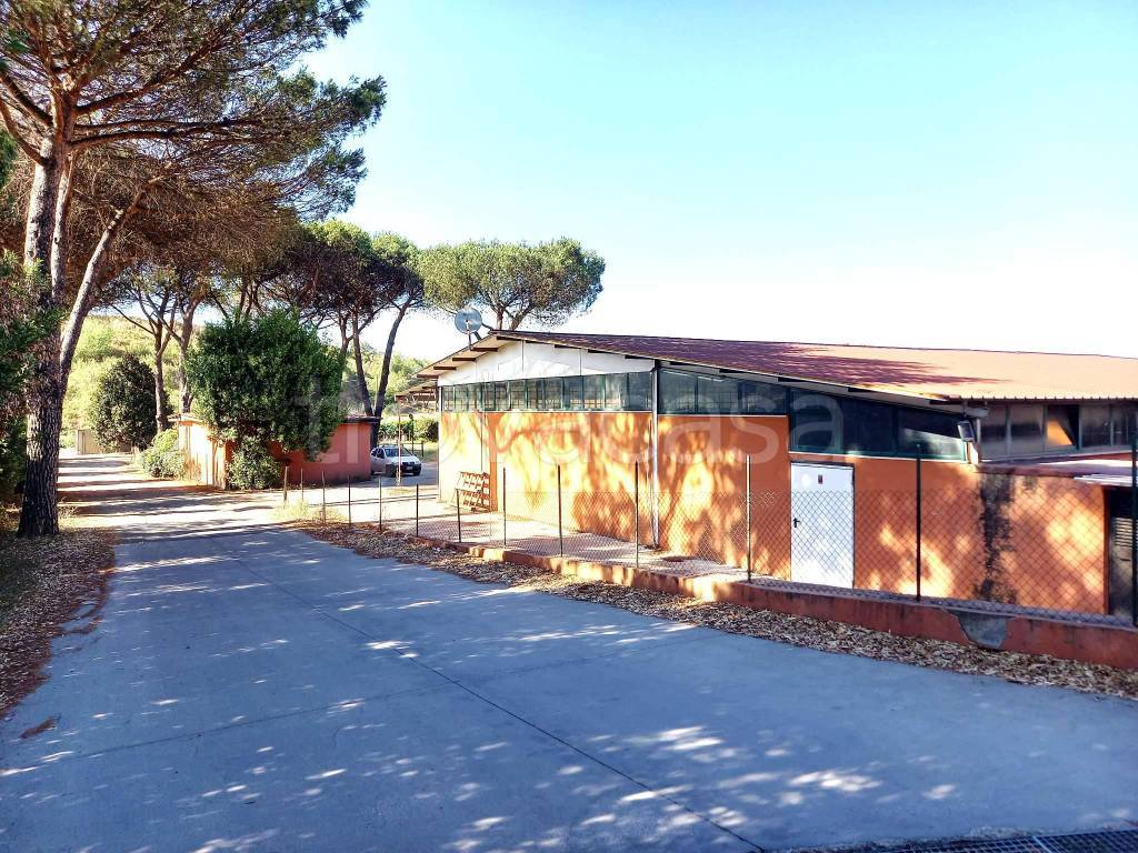 immagine annuncio 4 di 14