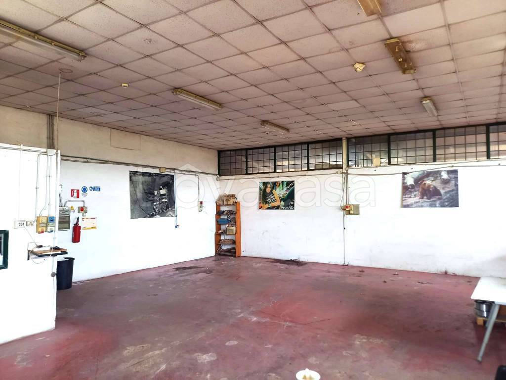 immagine annuncio 5 di 14