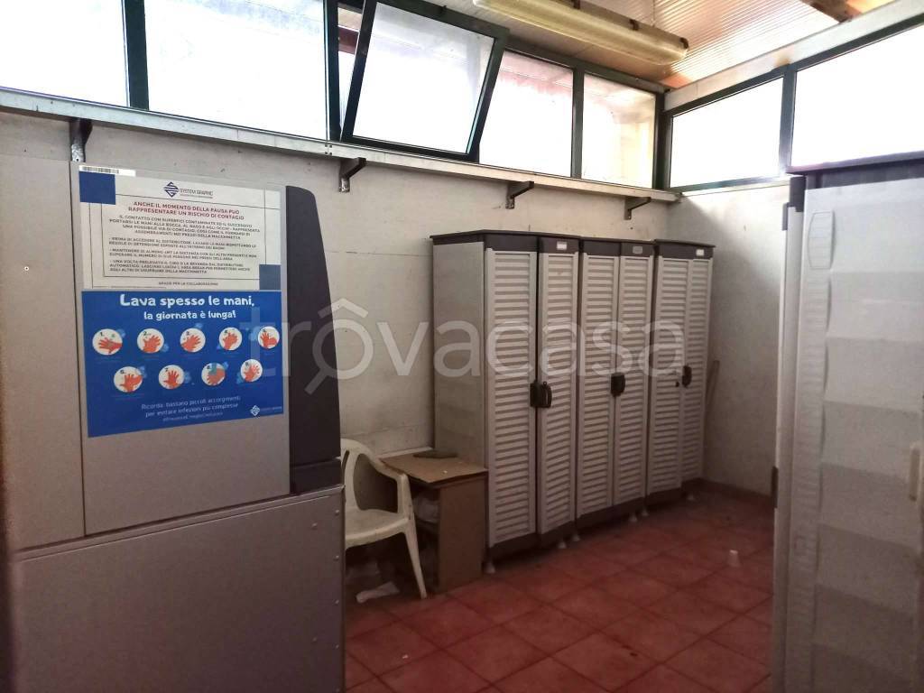 immagine annuncio 6 di 14