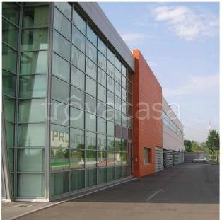 immagine annuncio 2 di 8