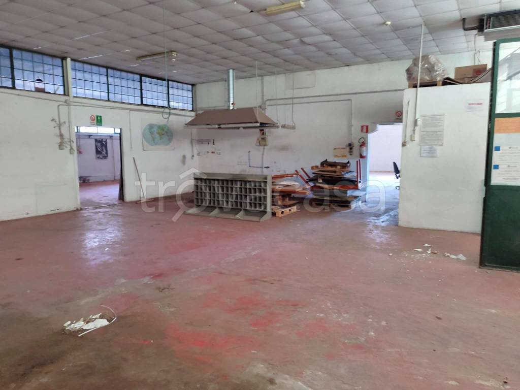 immagine annuncio 9 di 14