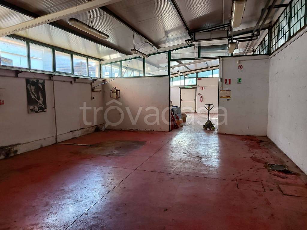 immagine annuncio 10 di 14