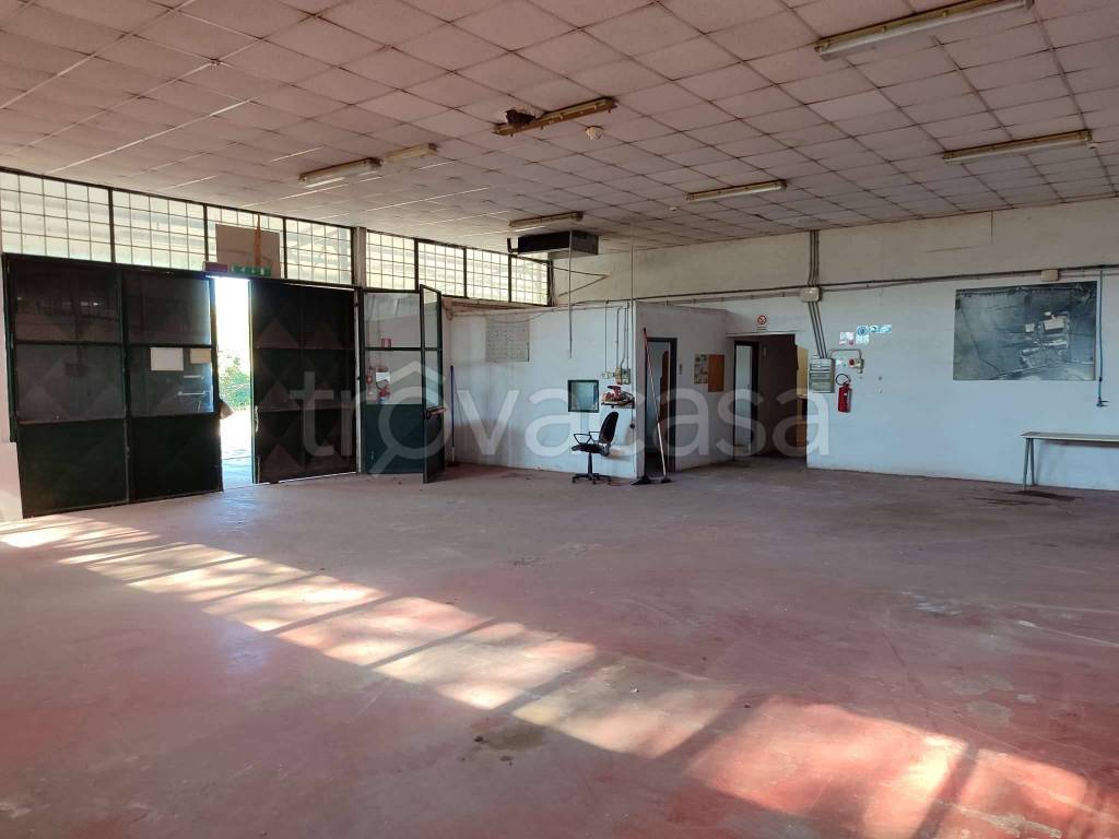 immagine annuncio 11 di 14