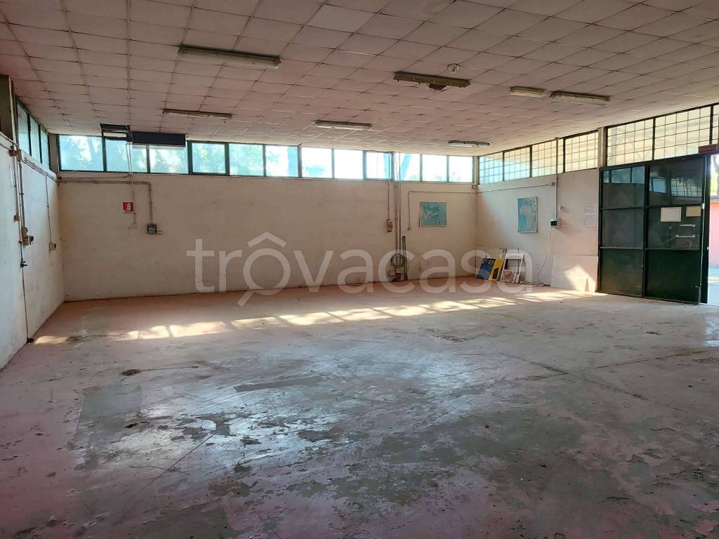 immagine annuncio 12 di 14