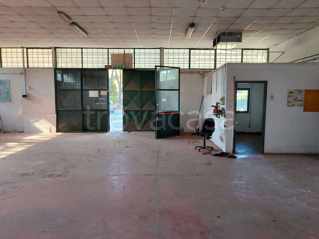 immagine annuncio 13 di 14