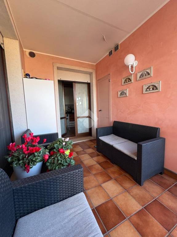 immagine annuncio 6 di 14