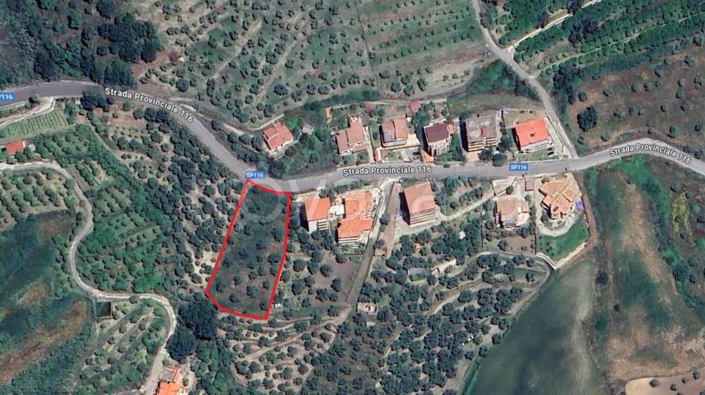 immagine annuncio 2 di 7