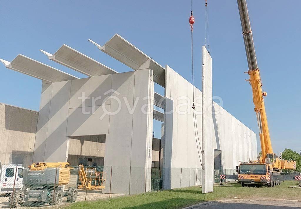 immagine annuncio 3 di 11