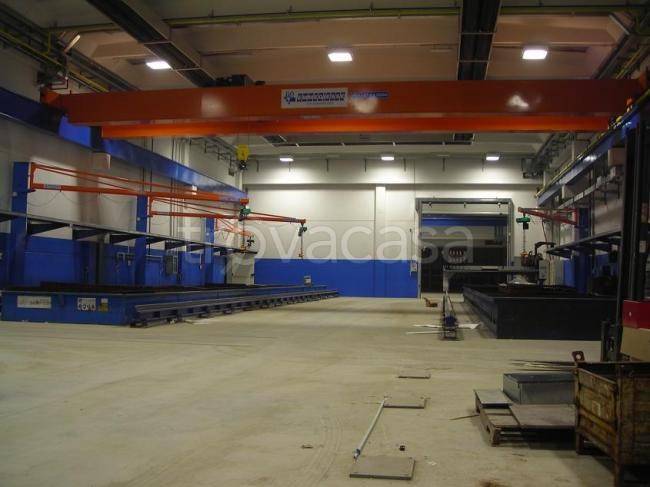 immagine annuncio 9 di 11