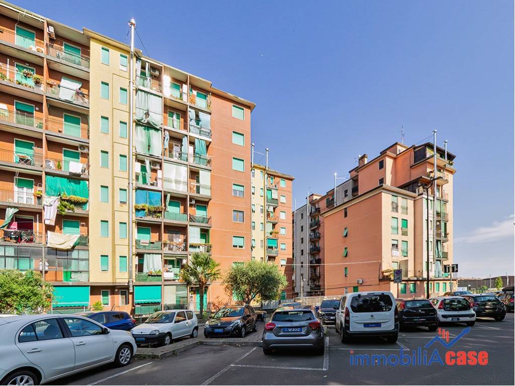 immagine annuncio 5 di 6