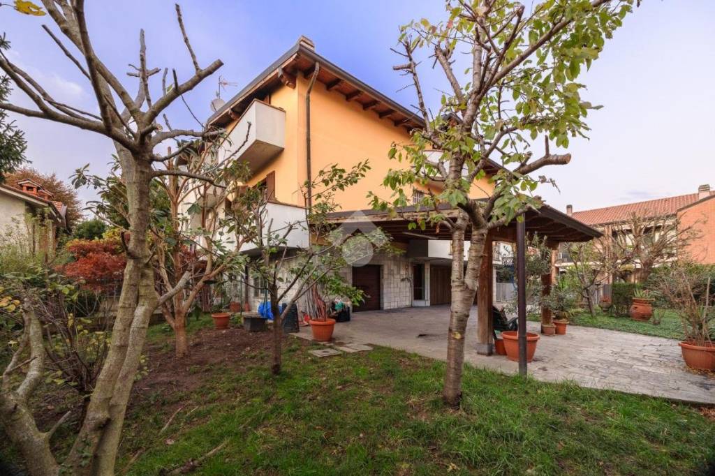 immagine annuncio 3 di 15