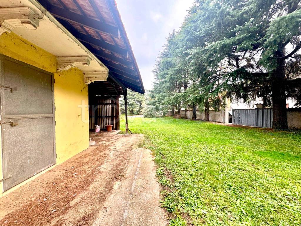 immagine annuncio 11 di 15